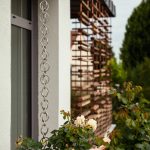 POISSY N°11: BANDE D'IMAGE